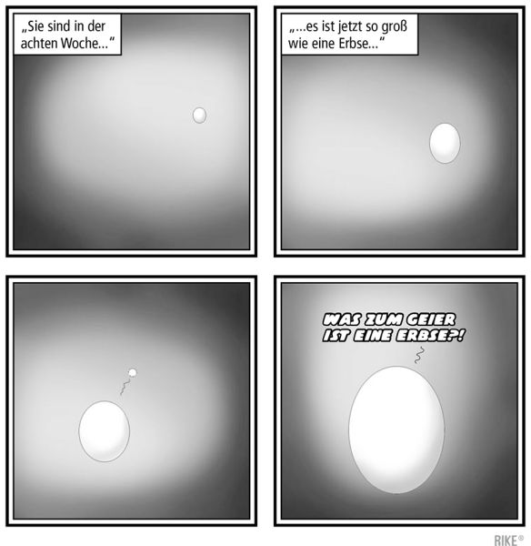 ILLU_frei_muckel-1