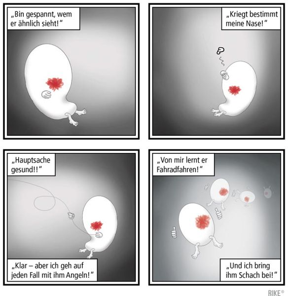 ILLU_frei_muckel-10